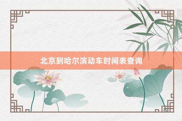 北京到哈尔滨动车时间表查询