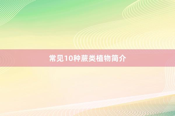 常见10种蕨类植物简介