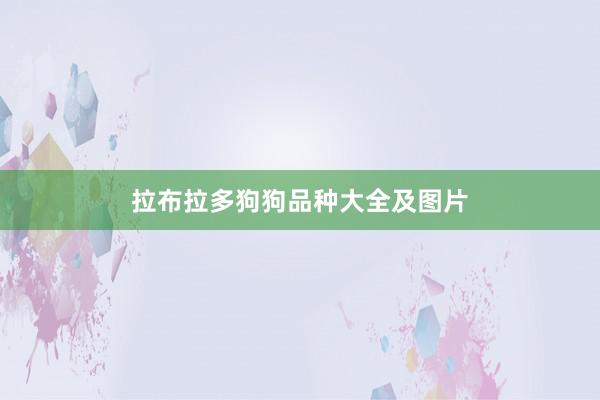 拉布拉多狗狗品种大全及图片