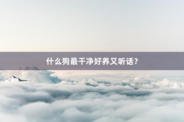 什么狗最干净好养又听话?